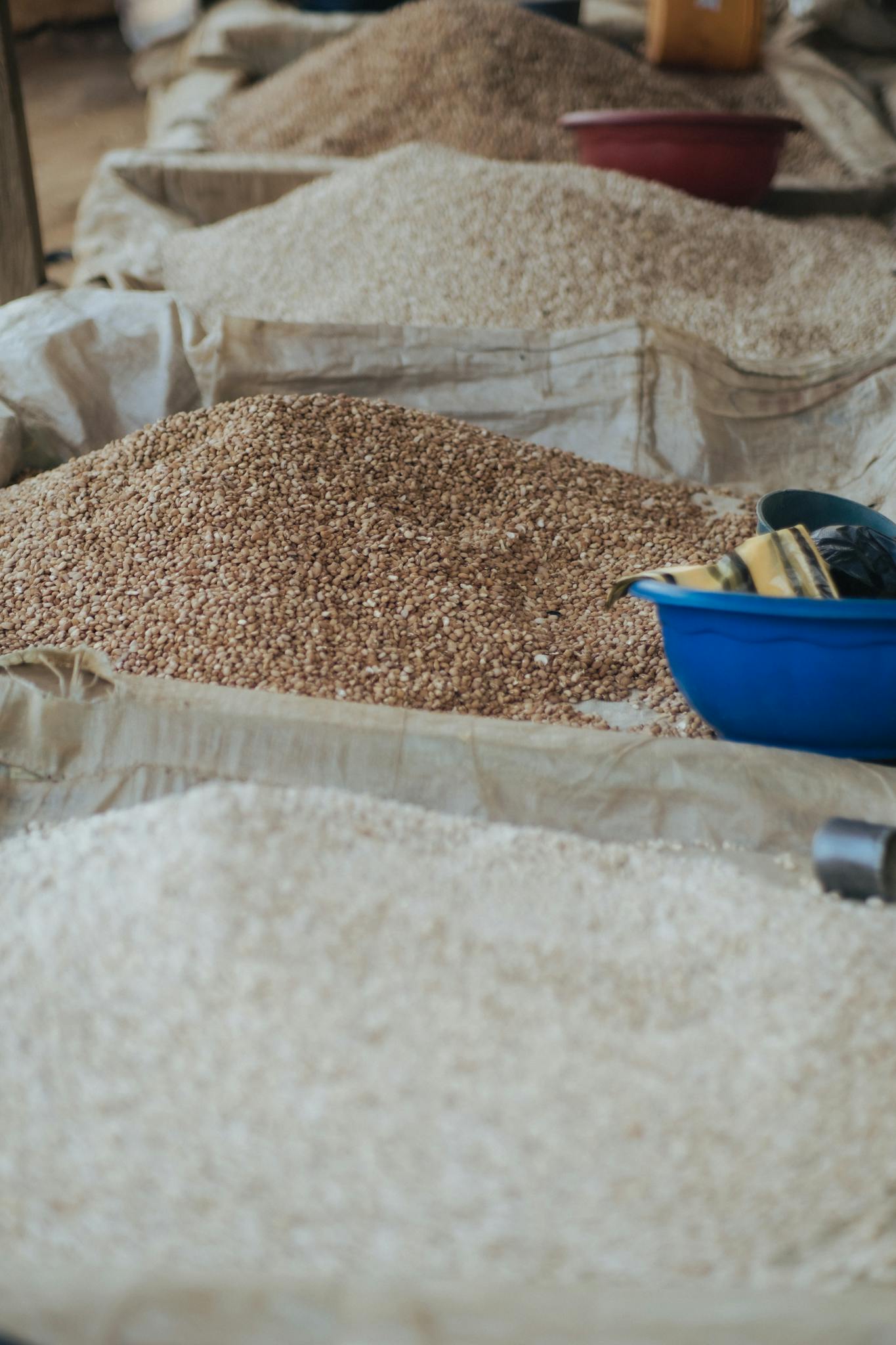 Various grains including rice and beans displayed in sacks at a market in Ilorin, Nigeria.