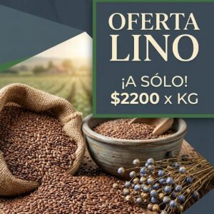 Lino Premium
